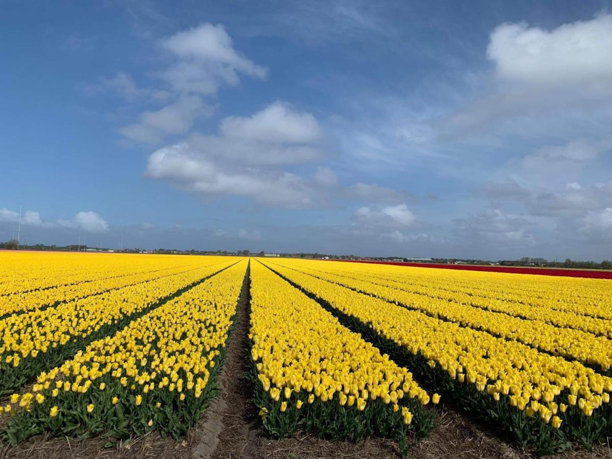 Accomadatie ZONNESTRAAL Westerland Buitenkant foto